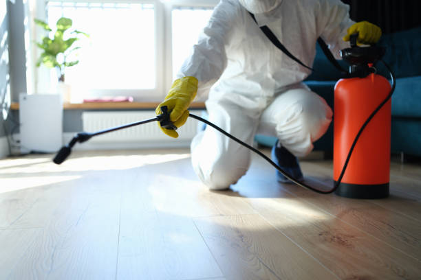 Reliable Biohazard contractor in Nixon, NV by Dulley Family Biohazard Services